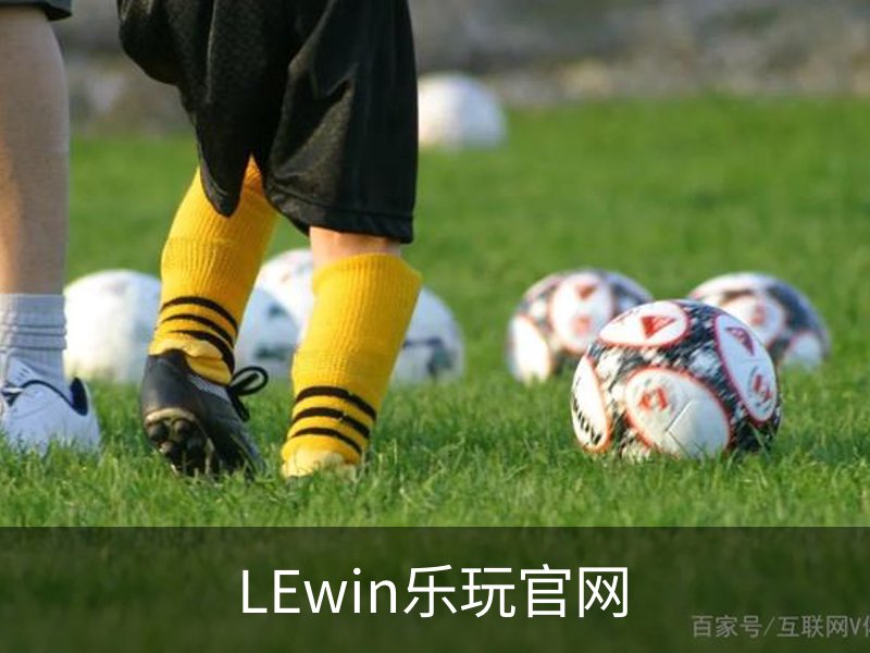 LEwin乐玩官网概况